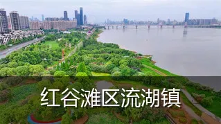 红谷滩区流湖镇